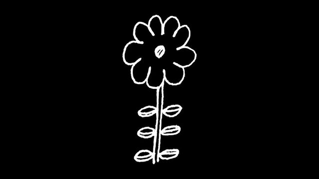 White wiggly hand drawn flower plant blossom with leaves doodle animation      