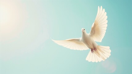 Fototapeta premium White dove in flight against soft blue background