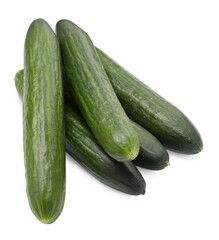 Many long fresh cucumbers isolated on white