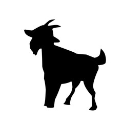 Vector illustration of farm animals, farm goats, etawa goats.