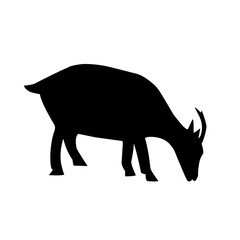 Vector illustration of farm animals, farm goats, etawa goats.