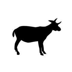 Vector illustration of farm animals, farm goats, etawa goats.