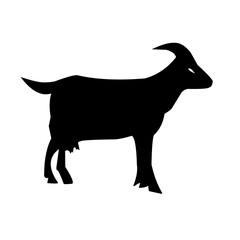 Vector illustration of farm animals, farm goats, etawa goats.