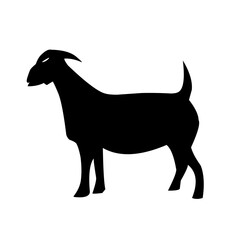 Vector illustration of farm animals, farm goats, etawa goats.