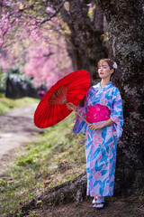 Pretty girl in a Yukata dress.  A young Asian woman wearing a traditional Japanese kimono or Yukata...