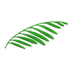 Coconut Leaves Illustration