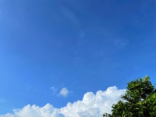 Obraz premium Summer blue sky cloud gradient light white background. Beauty clear cloudy in sunshine calm bright winter air bacground. Gloomy vivid cyan landscape in environment day horizon skyline view spring wind