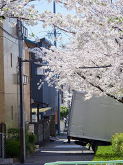 春の満開の桜の住宅地で引っ越しするトラックの様子