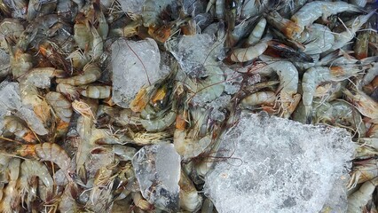 Fototapeta premium The raw shrimp in the pile of ice to keep the quality of its meat stay fresh while displayed in supermarket 