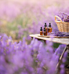 Amber essential lavender oil bottle. Violet lavendar field in Provence. - 786742235