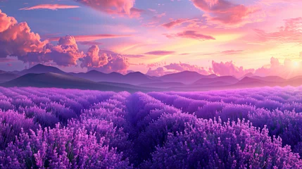 Poster de jardin Tailler A blooming lavender field vector simple