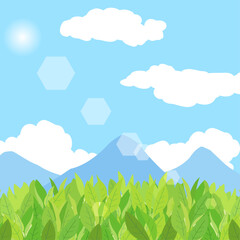青空と茶畑の景色をイメージしたイラスト　アスペクト比1：1バージョン