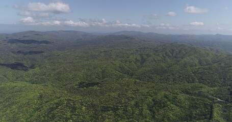 Obraz premium 奄美の自然