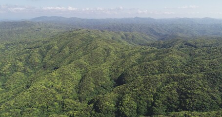 奄美の山々、奄美の自然、湯湾岳