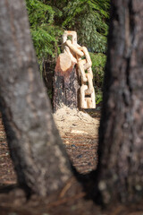A chain is carved from a tree stump with saw dust on the ground. The scene is peaceful and serene. - 786750013