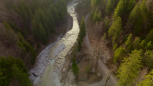 Aerial view of beautiful gorge with mountain river and coniferous forest at sunrise with haze and fog in Germany on Pollat river, Fussen. Drone view of wonderful alpine canyon with river and woods. 