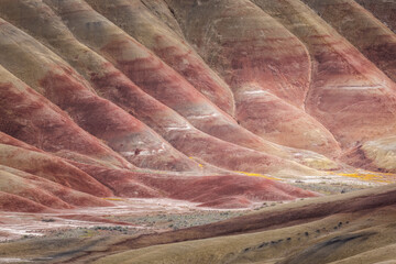 Beautiful and colorful landscape of the Painted Hills in Eastern Oregon, near John Day. - 786750815