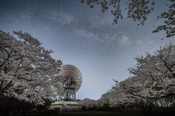 茨城県高萩市　さくら宇宙公園の満開の桜と天の川