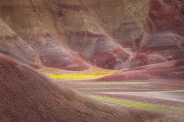 Papier Peint photo autocollant Zhangye Danxia Beautiful and colorful landscape of the Painted Hills in Eastern Oregon, near John Day.