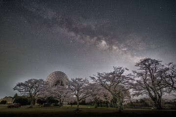 茨城県高萩市　さくら宇宙公園の満開の桜と天の川