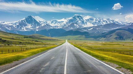 Straight asphalt road and green grass with snow mountain nature scenery under blue sky. Road and mountains background.