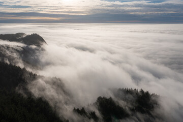 The sky is covered in a thick layer of fog, creating a moody and mysterious atmosphere. The misty...
