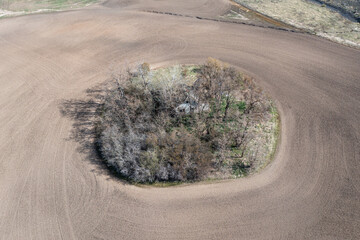 A small tree is growing in the middle of a field. The field is brown and dry. The tree is surrounded by dirt and grass