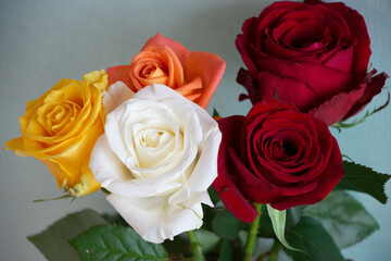 色とりどりのバラ