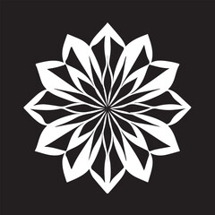 Round, square, dotted, floral, and beautiful ancient geometric patterns adorn simple black and white symmetrical texture.