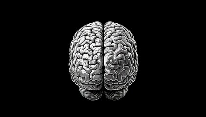 An image of brain isolated on black background. Space for text. Science, anatomy, intelligence, humanity, AI, smart coordination, emotions, power, control concept. Space for text. 