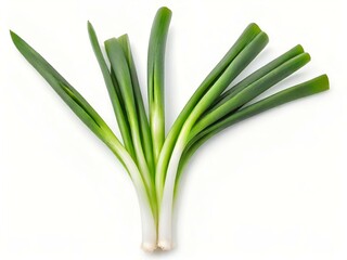 fresh green onion on white background