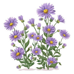 Obraz na płótnie Canvas Digital illustration of violet aster flowers in full bloom with green leaves on a white background.