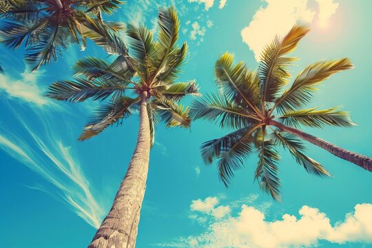 palm trees reaching for vibrant blue sky vintage tropical beach escape travel concept photo