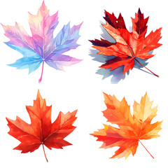 Watercolor painting set Colorful maple leaves in autumn
