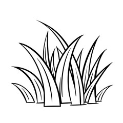 grass drawing On a white background it is a line drawing. Vector illustration