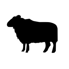 Sheep silhouette vector illustration