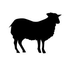 Sheep silhouette vector illustration