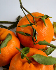 Grupo de tangerinas