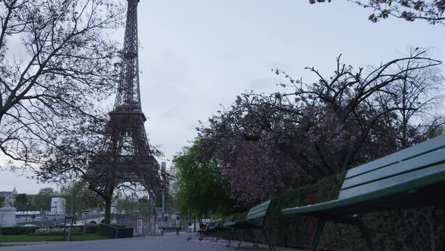 Morning spring in Paris trocadero garden with eiffel tower in the back ground cherry trees on the right in full blossom dolly forward
