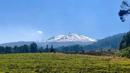 Fototapeta premium Scenic view of snowcapped mountain with trees and a blue sky