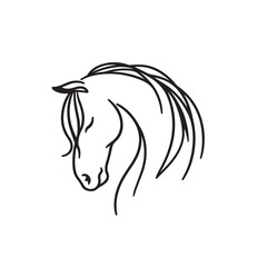 Simple Elegant Line Art Horse Head Vector Design