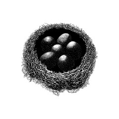 bird nest with eggs hand drawing vector isolated on background.