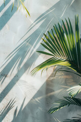 Sunlight and shadows play on an empty wall, with palm leaves on the right side, creating a minimalist aesthetic.
