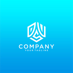 DVS Hexagon Lettermark Logo.