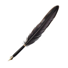 feather and ink illustration png isolated on white background