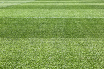 サッカー場の美しい天然芝