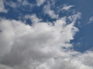 Fototapeta premium 東京のそら(24.4.17)