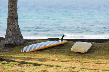 Two surfboards on tropical shore by waving ocean near palms.