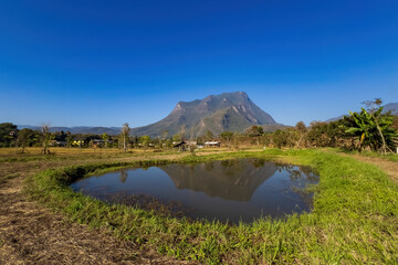 Pond reflecting Doi Luang Chiang Dao mountain against its scenic backdrop, captured in Chiang Dao, Thailand's picturesque landscape.