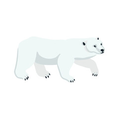 vector drawing polar bear, cartoon animal isolated at white background, hand drawn illustration